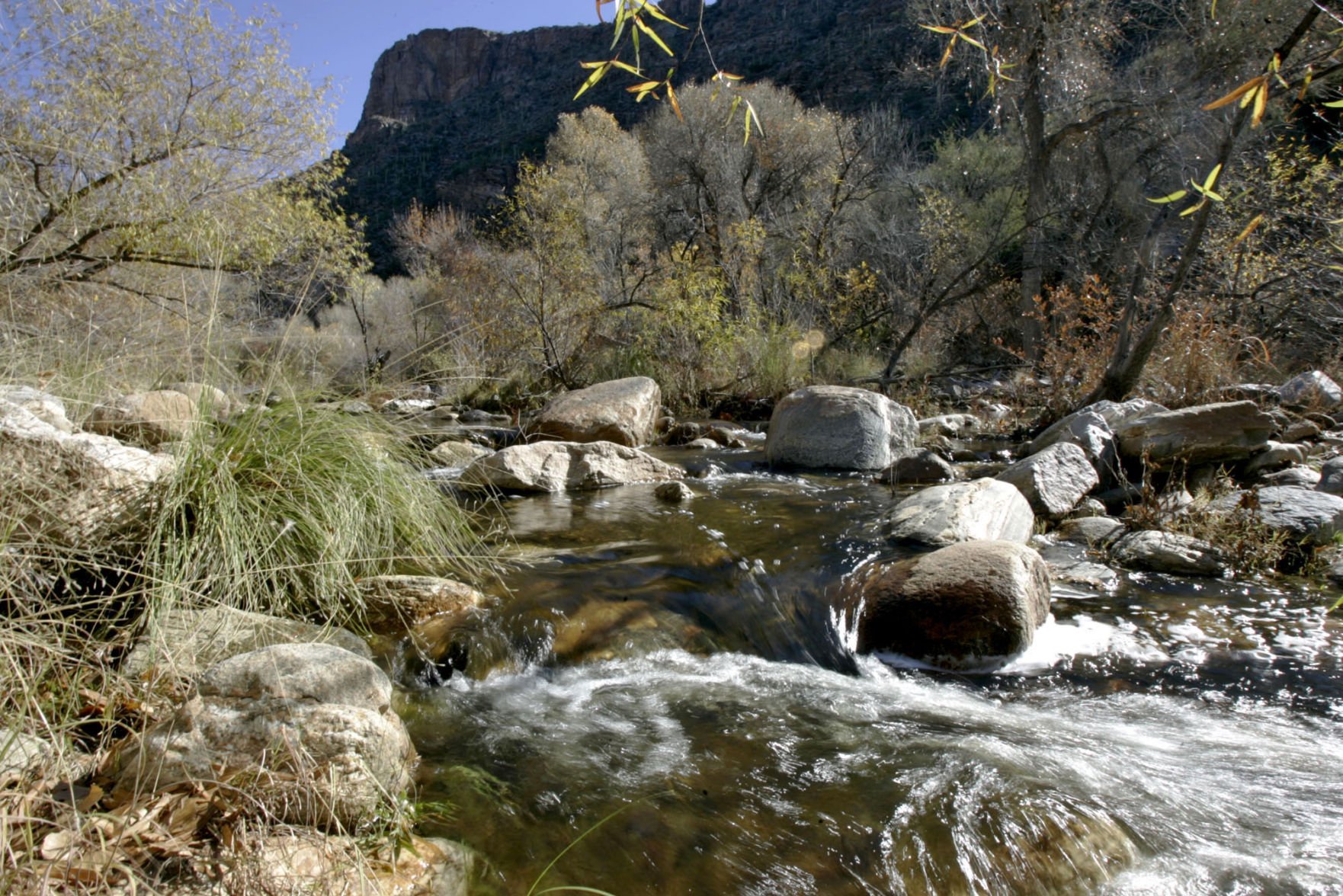 Sabino Canyon
